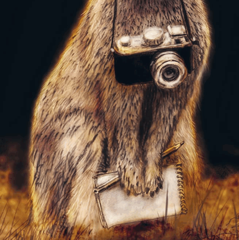 ALTRI QUATTRO PASSI NEI LIBRI FOTOGRAFICI PER BAMBINI E RAGAZZI