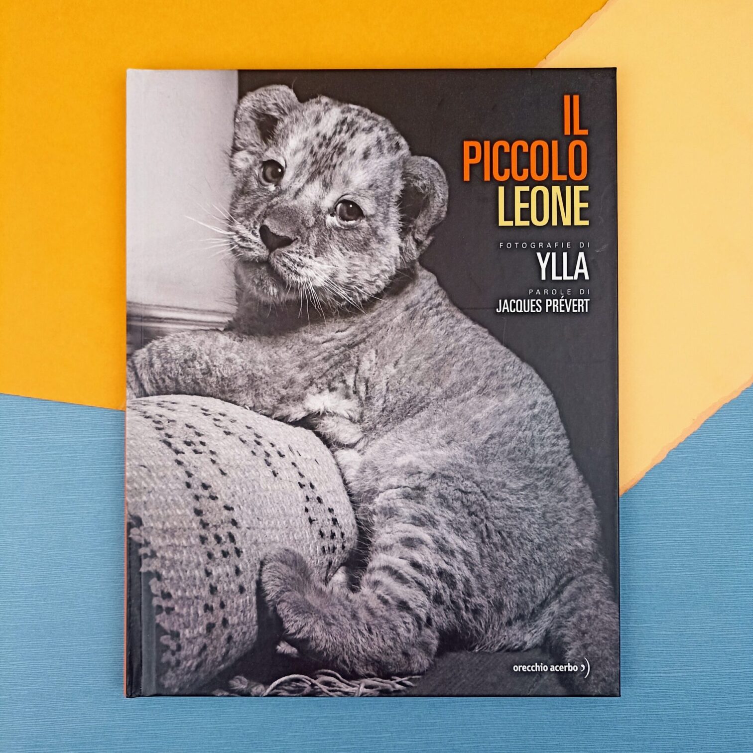 Il piccolo leone