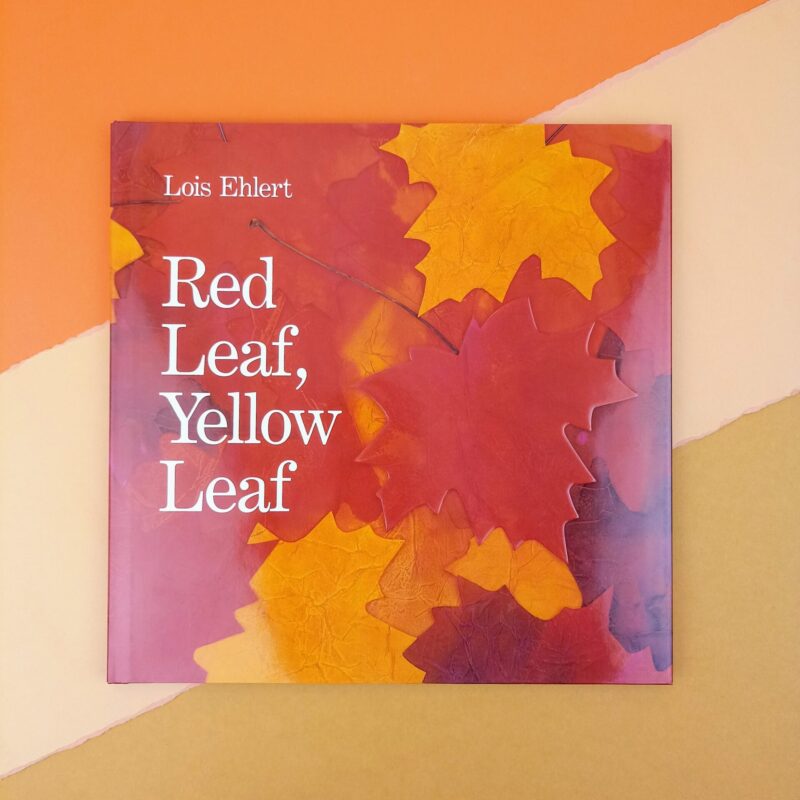 Red leaf, yellow leaf