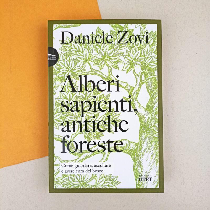 Alberi sapienti, antiche foreste