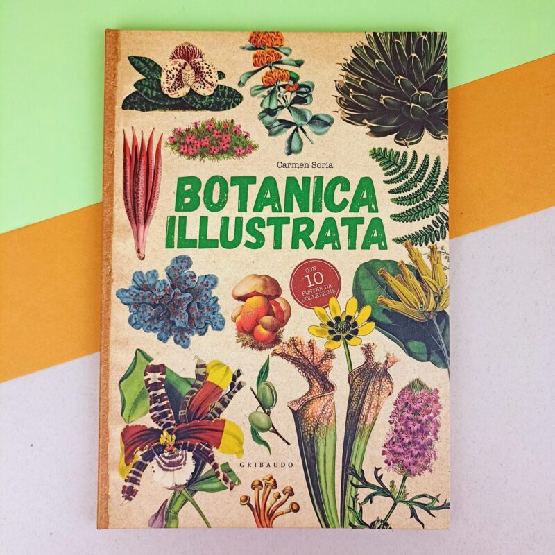 Botanica illustrata