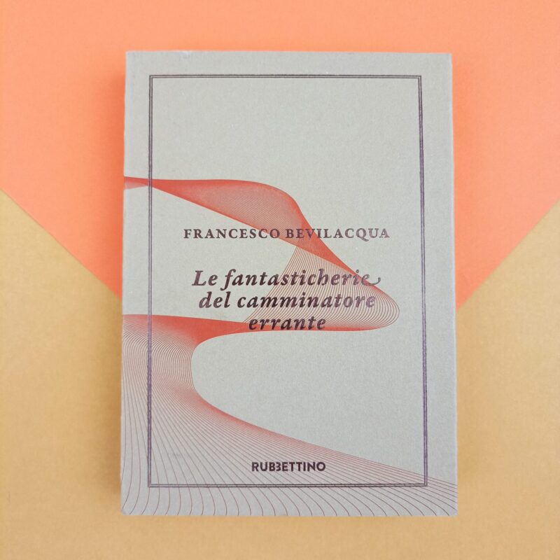 Le fantasticherie del camminatore errante