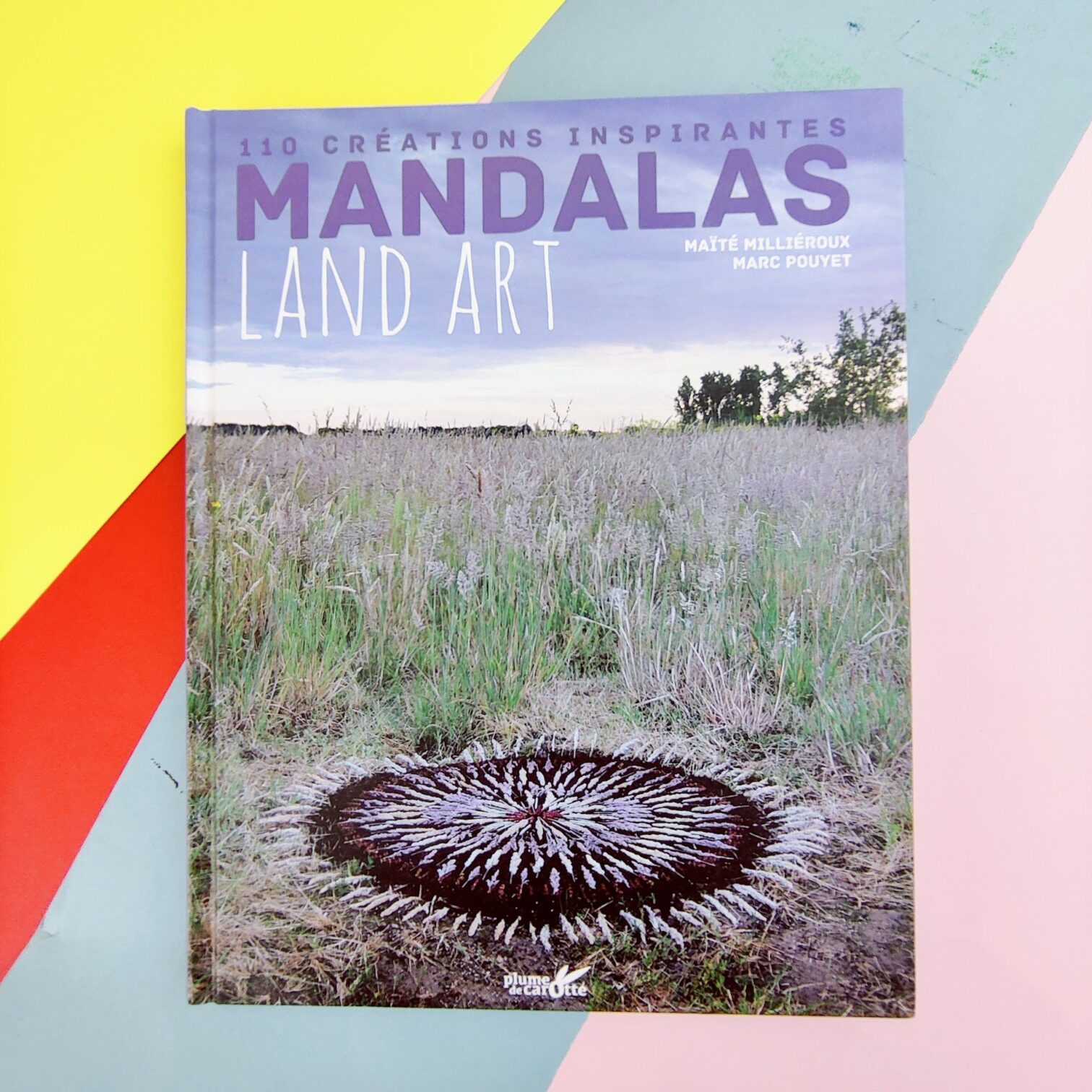 Mandalas land art