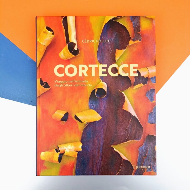Cortecce