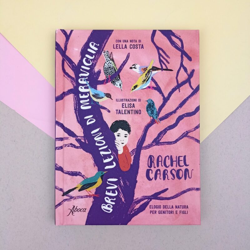 Brevi lezioni di meraviglia