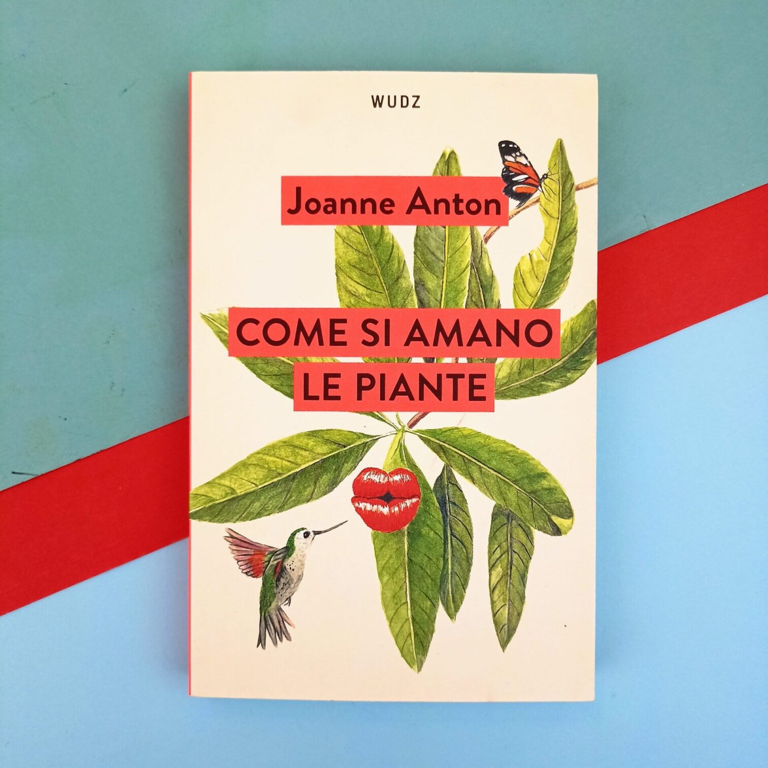 Come si amano le piante