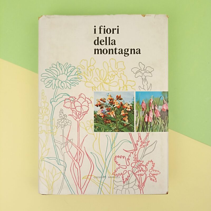 I fiori della montagna