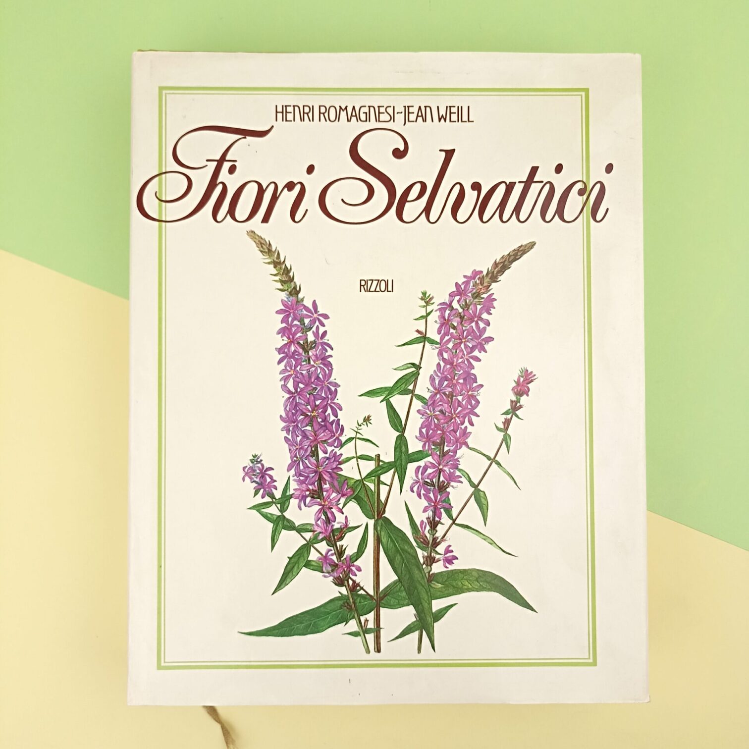 I fiori selvatici