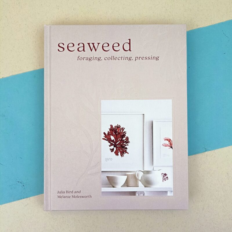 Seaweed. Foraging, collecting and pressing