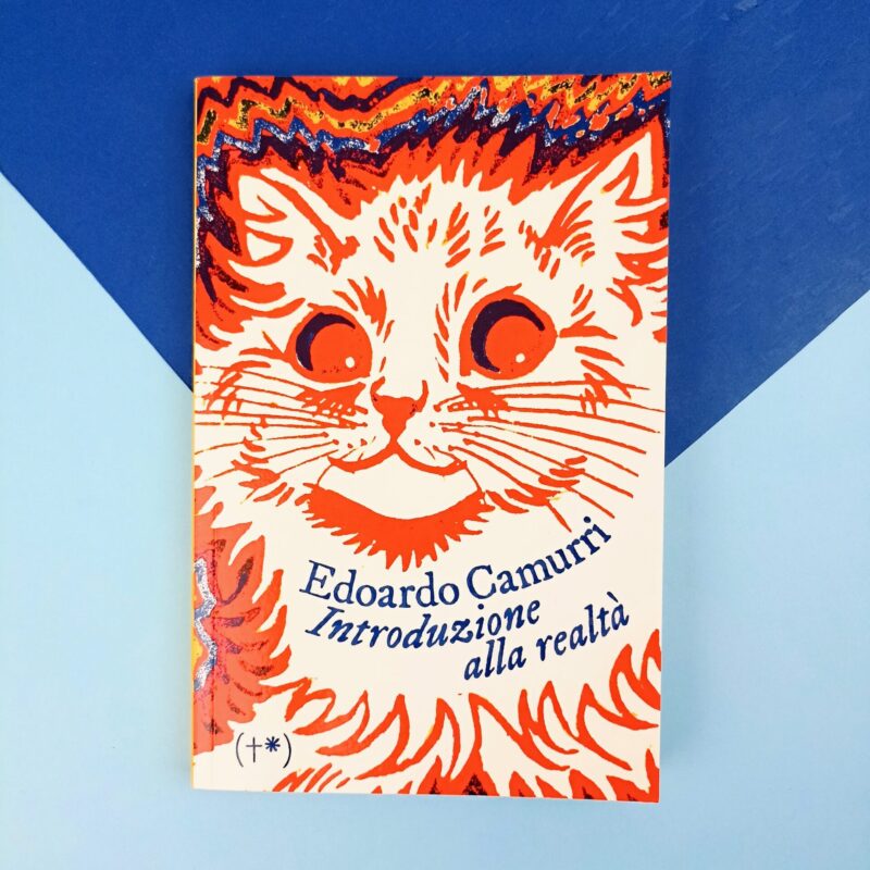 Introduzione alla realtà