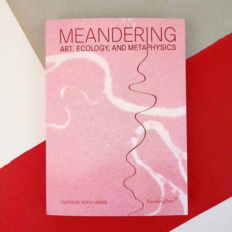 Meandering. Art, ecology, and metaphysics