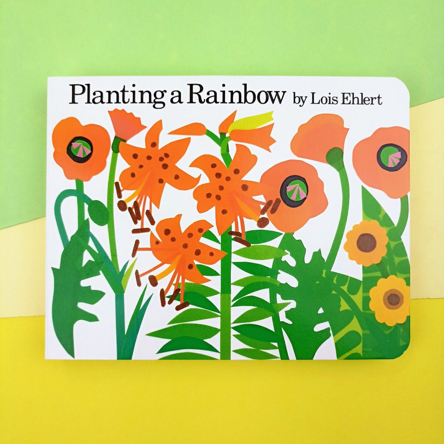 Planting a rainbow