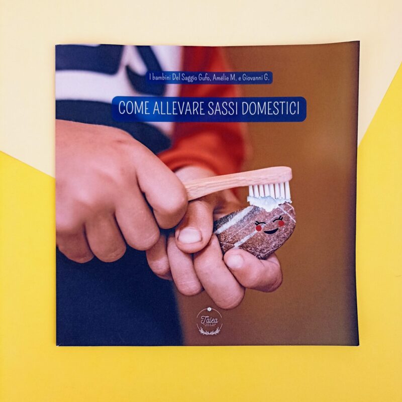 Come allevare sassi domestici