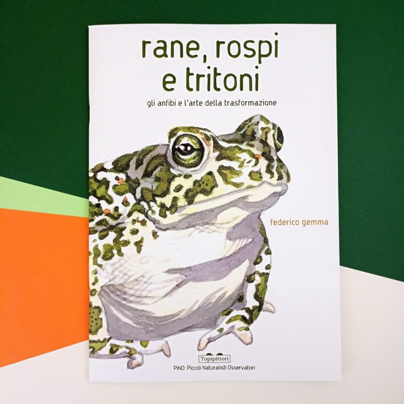 Rane, rospi e tritoni