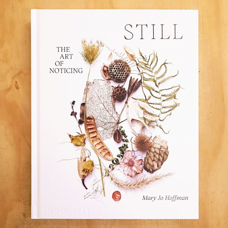 Still. The art of noticing