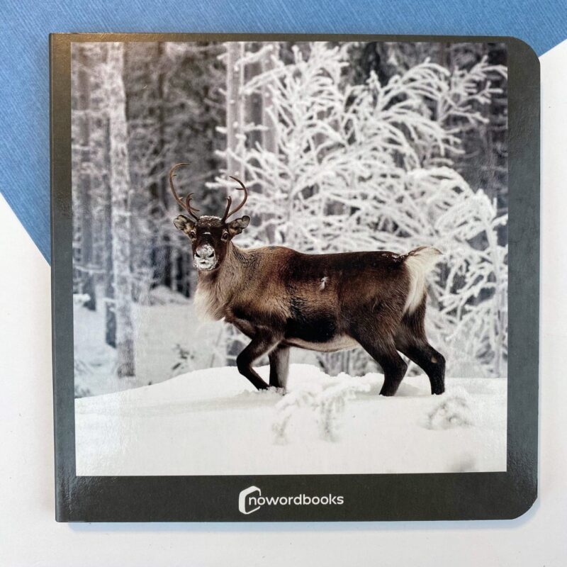 46. Animales polares