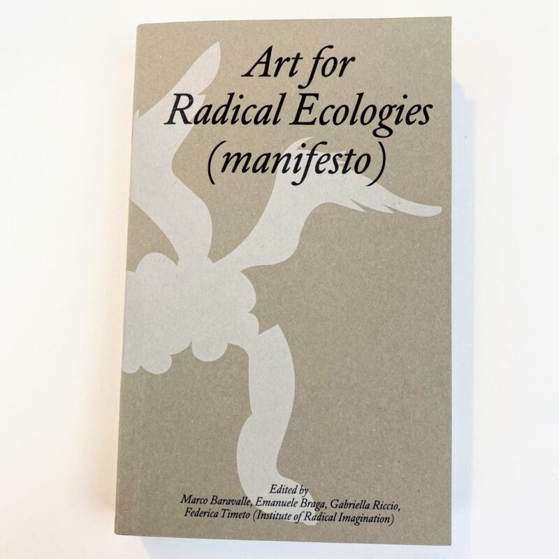 Art for radical ecologies (manifesto)