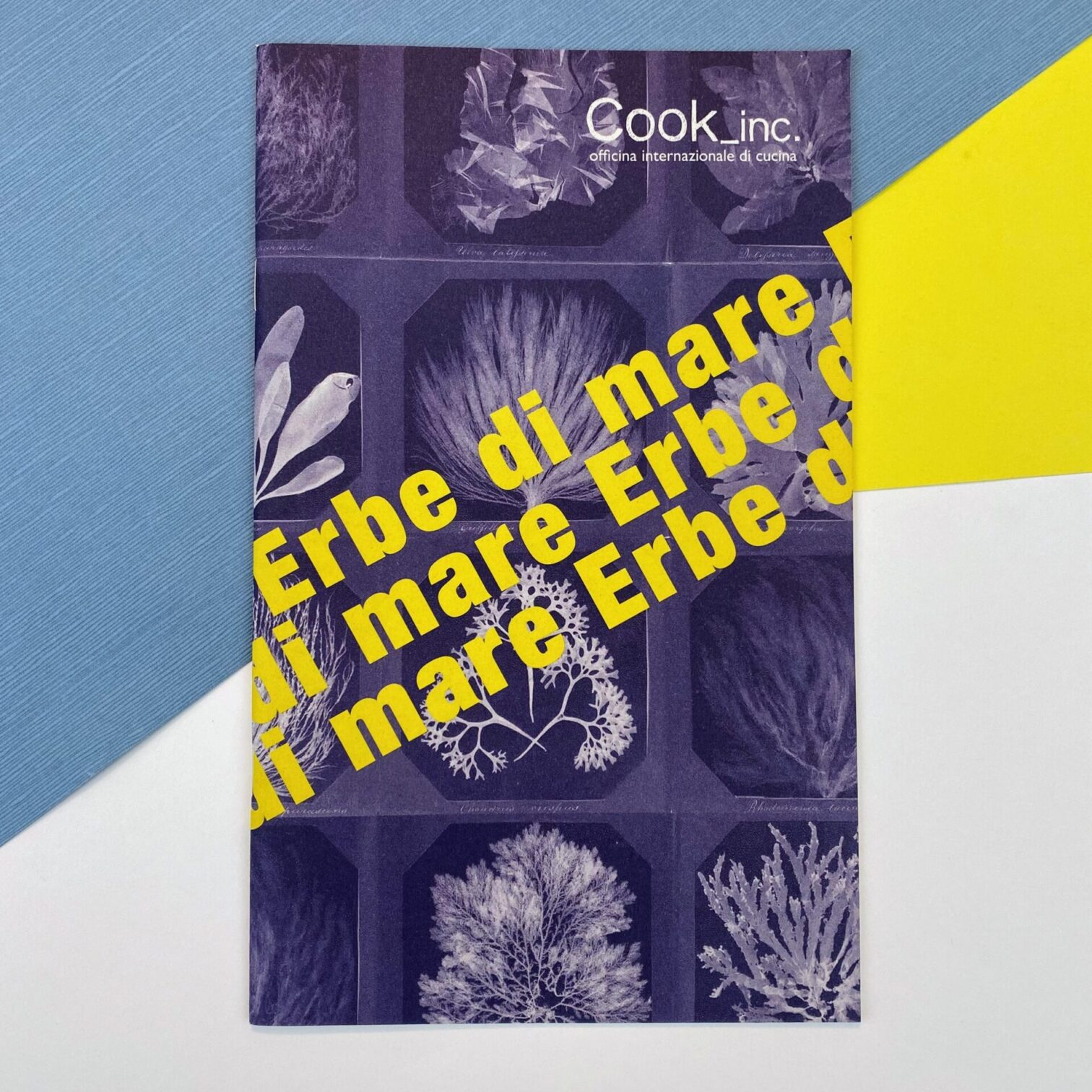 Erbe di mare