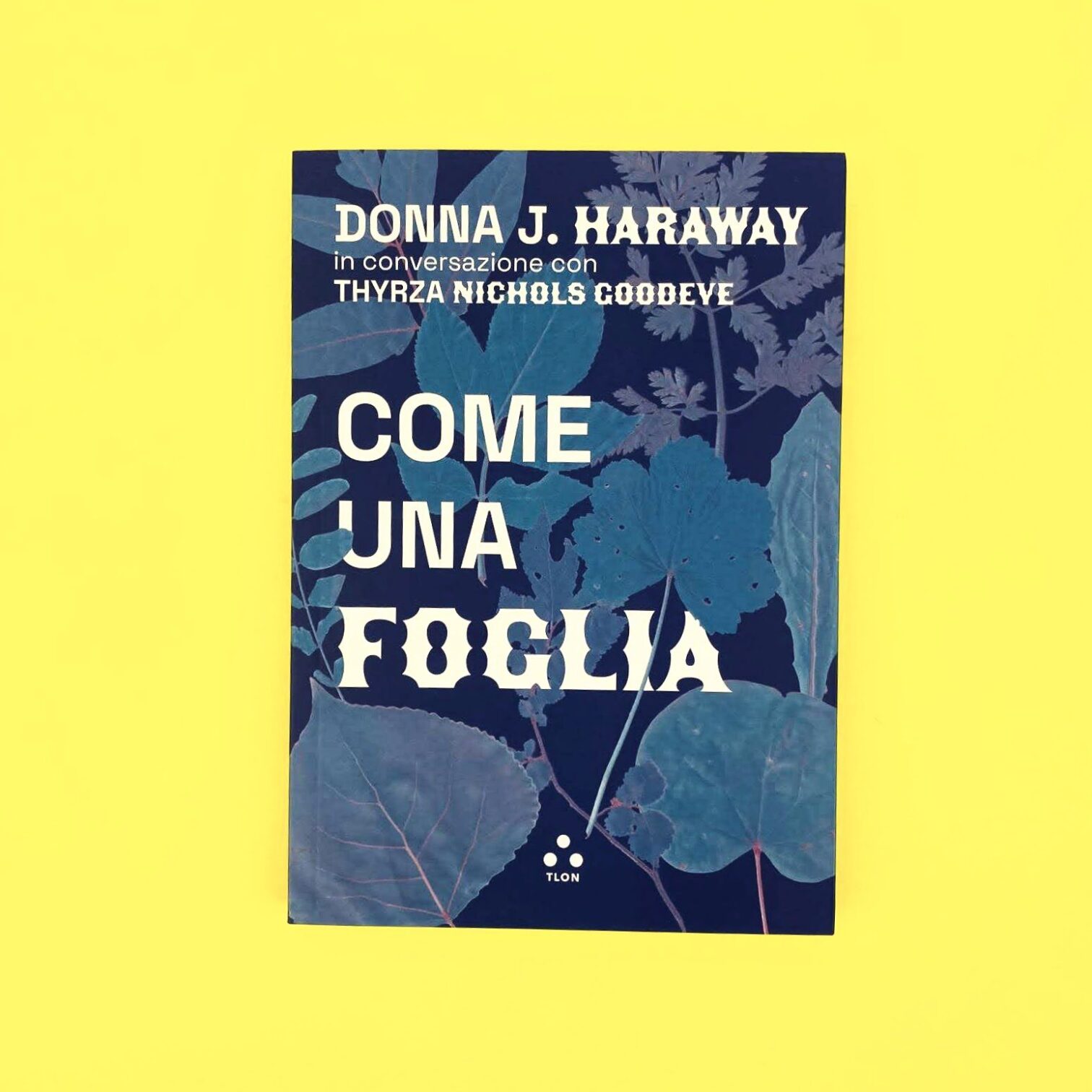 Come una foglia