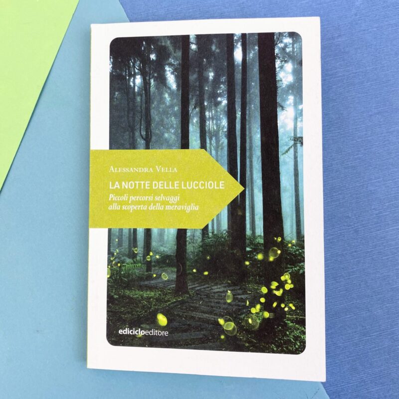 La notte delle lucciole