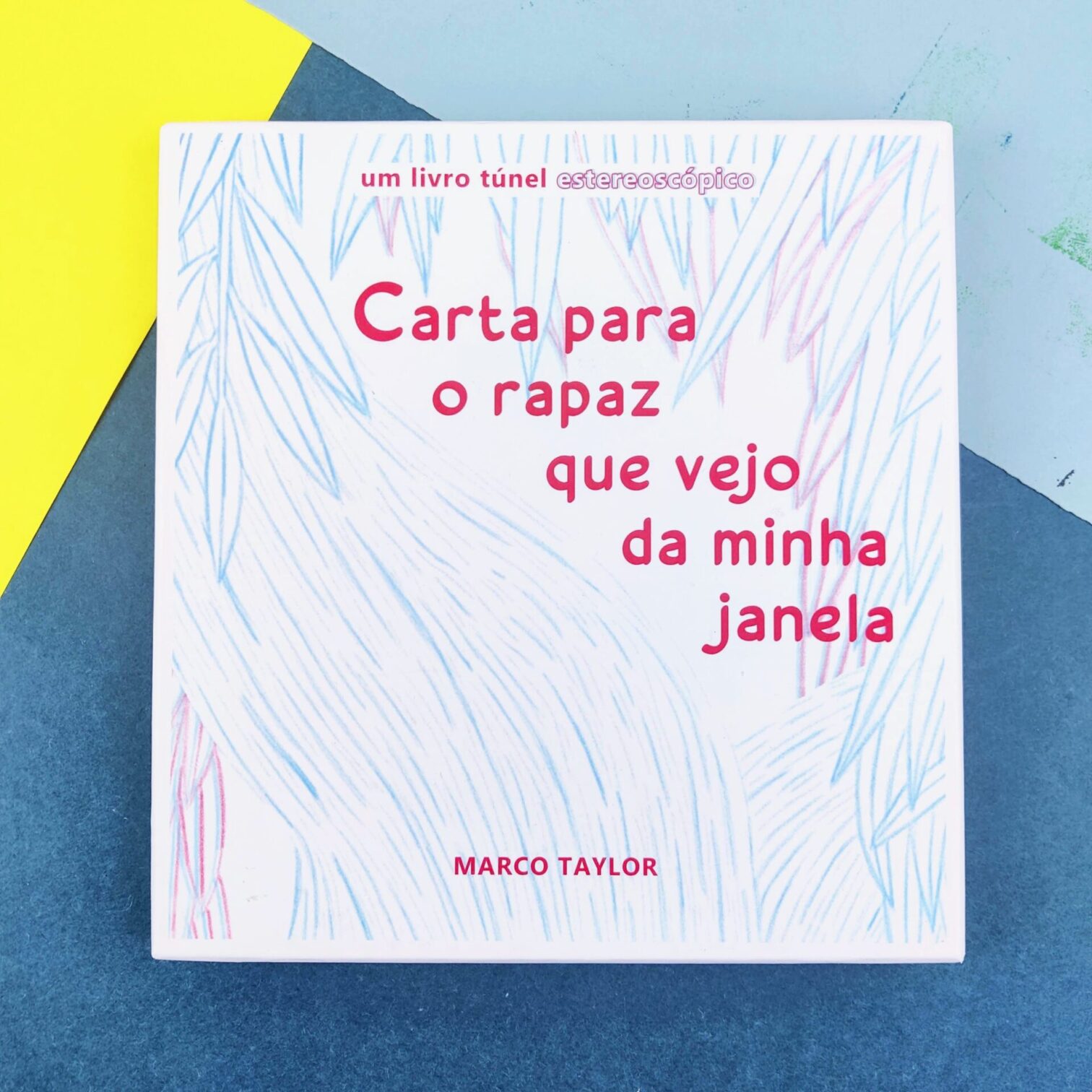 Carta para o rapaz que vejo da minha janela