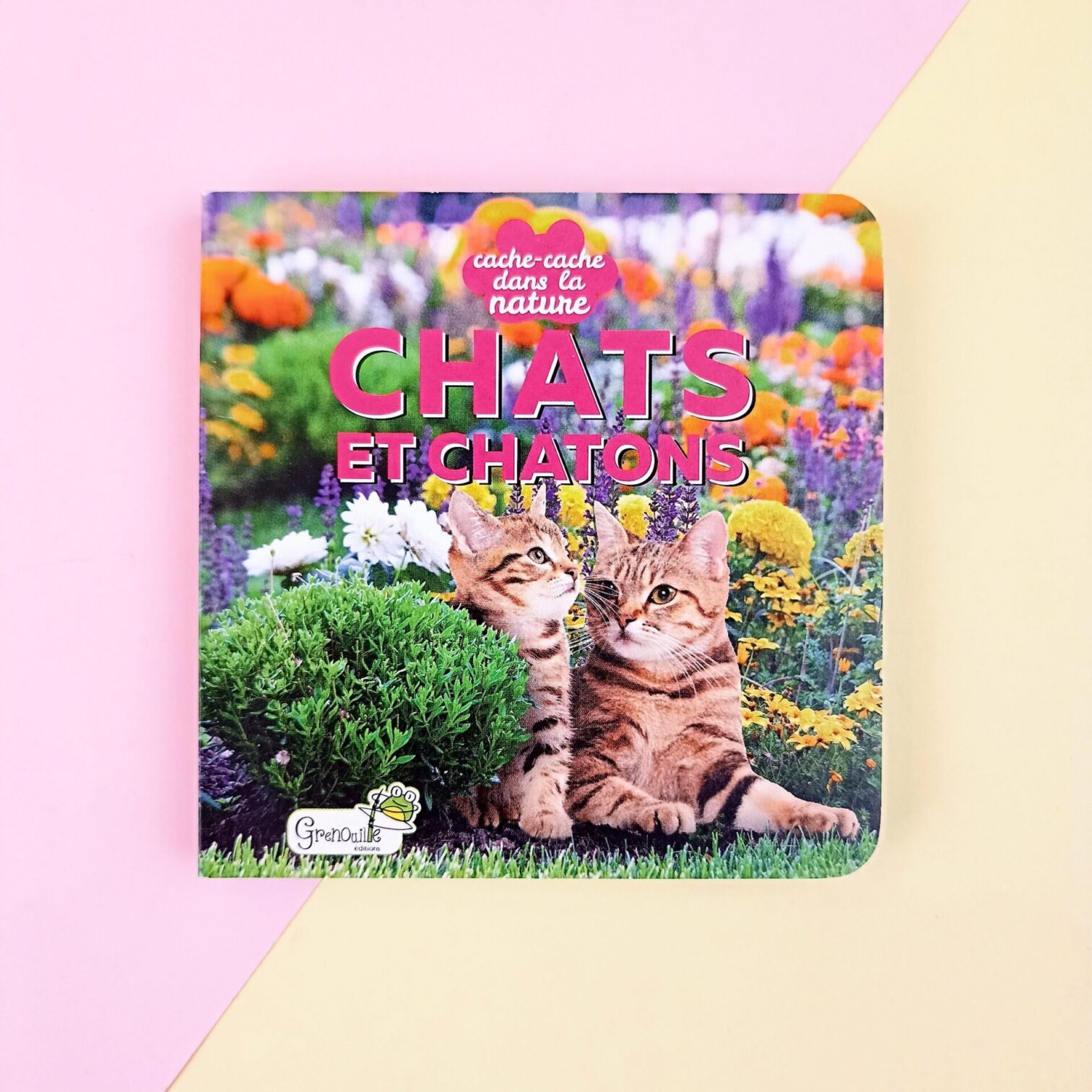Chats et chatons