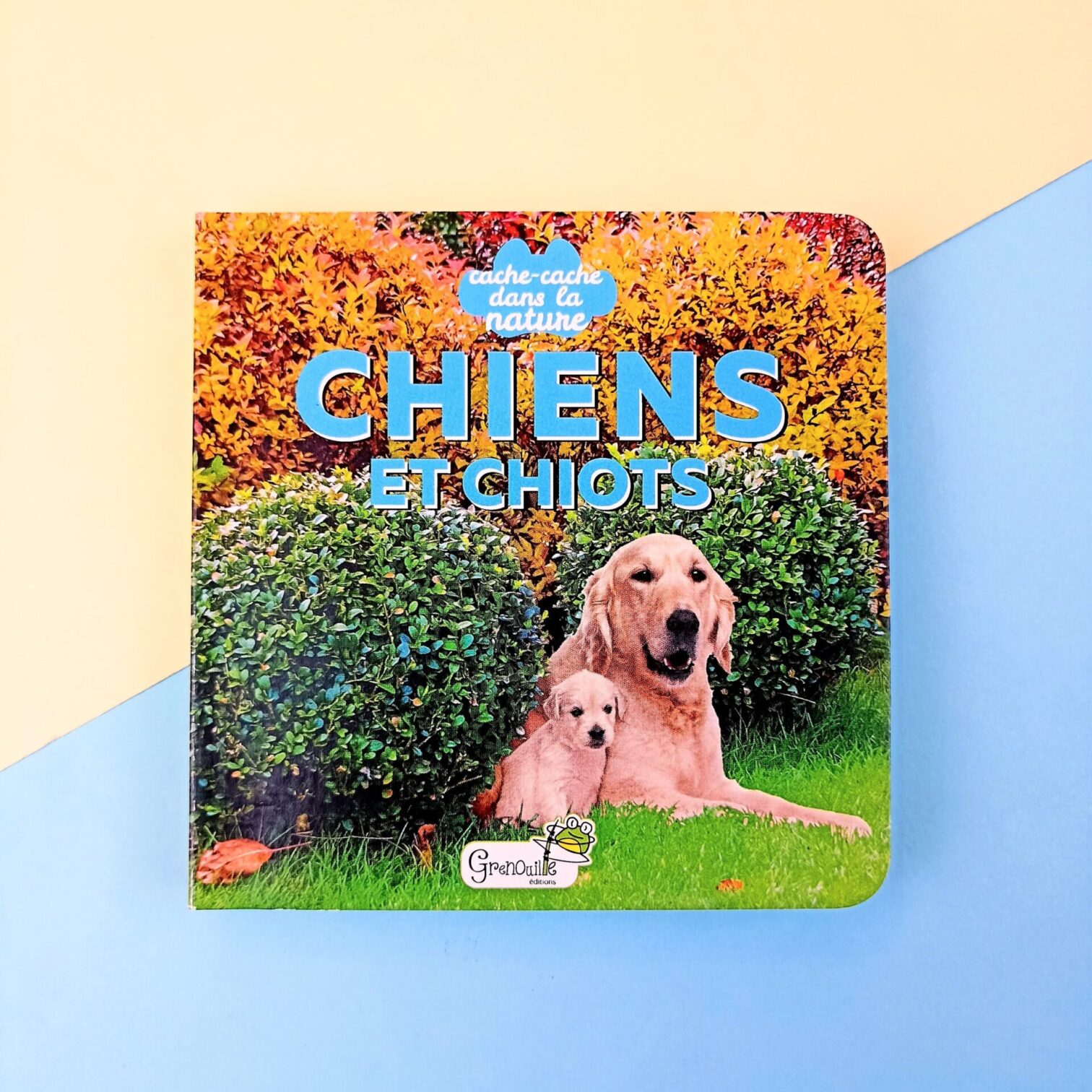 Chiens et chots