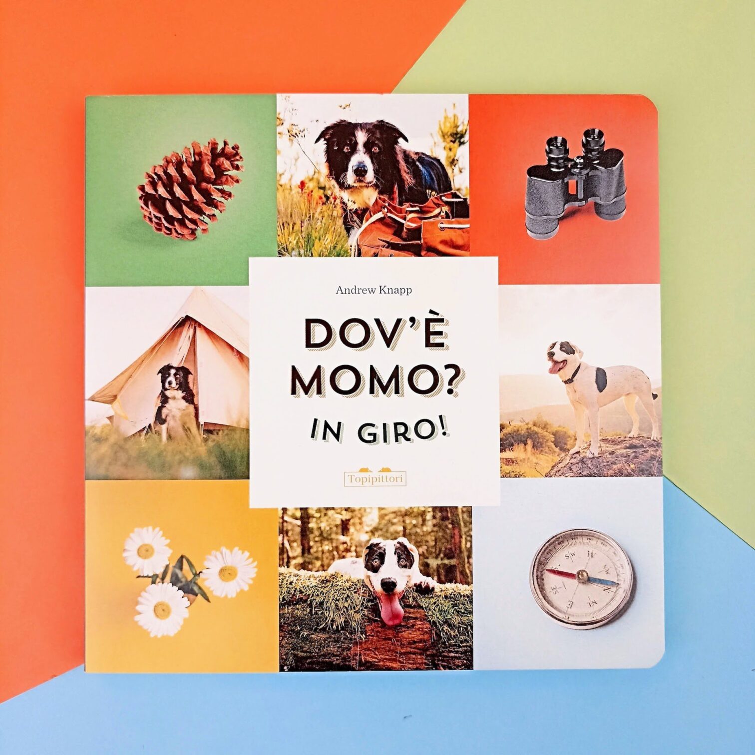 Dov’è Momo? In giro!