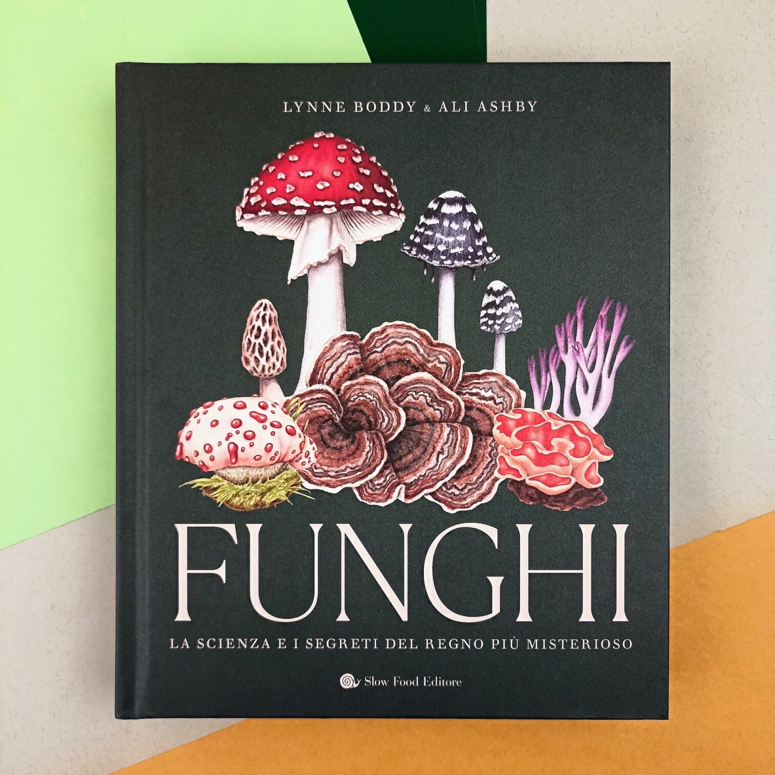 Funghi
