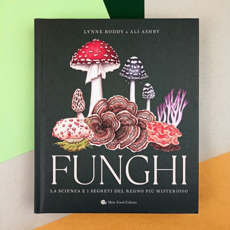 Funghi