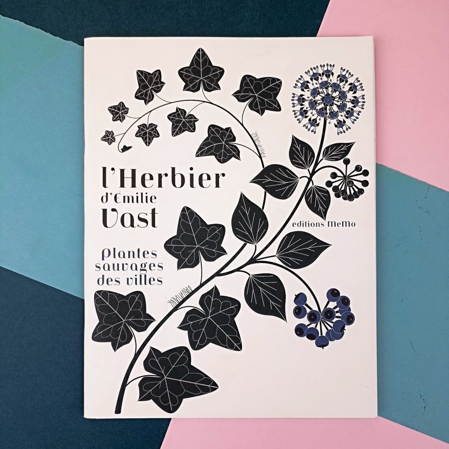 L’herbier d’Emilie Vast. Plantes sauvages des villes