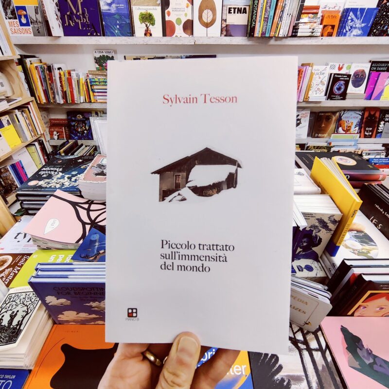 Piccolo trattato sull’immensità del mondo