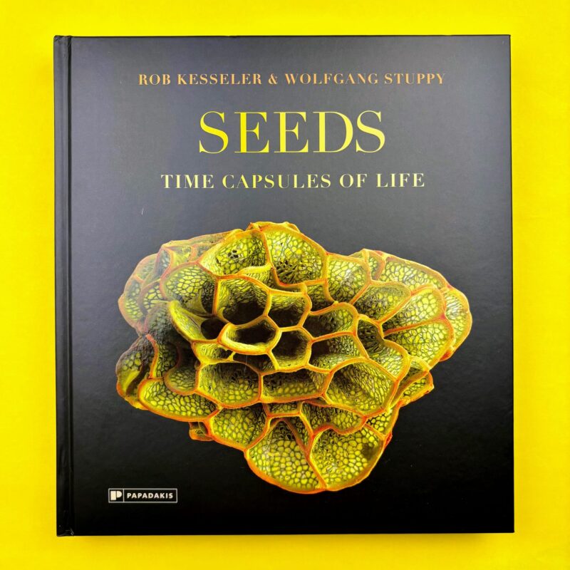 Seeds. Time capsule of life