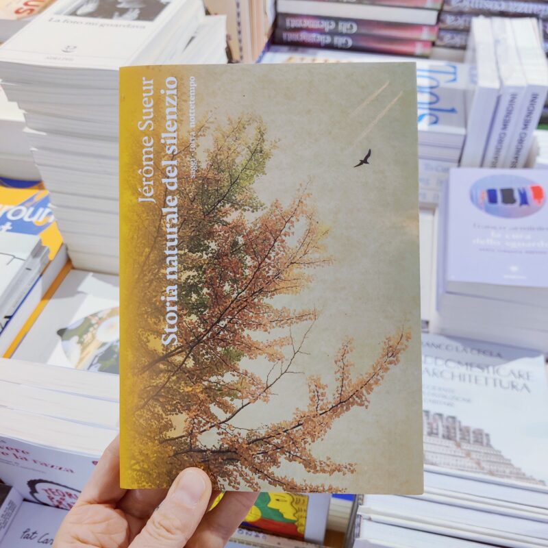 Storia naturale del silenzio