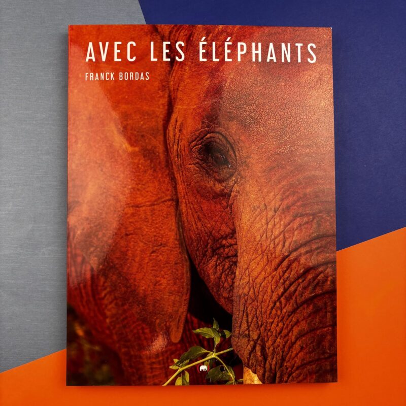 Avec les éléphants
