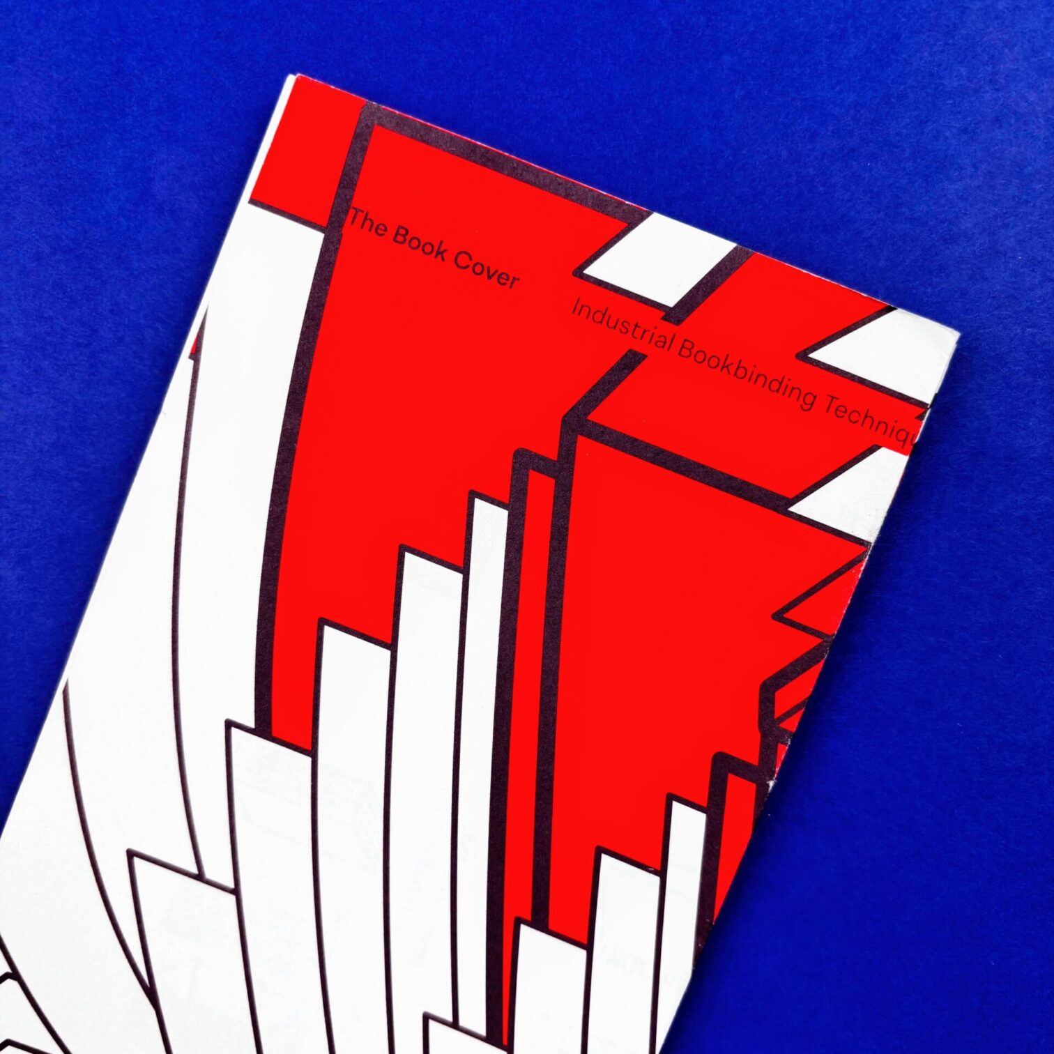 The book cover