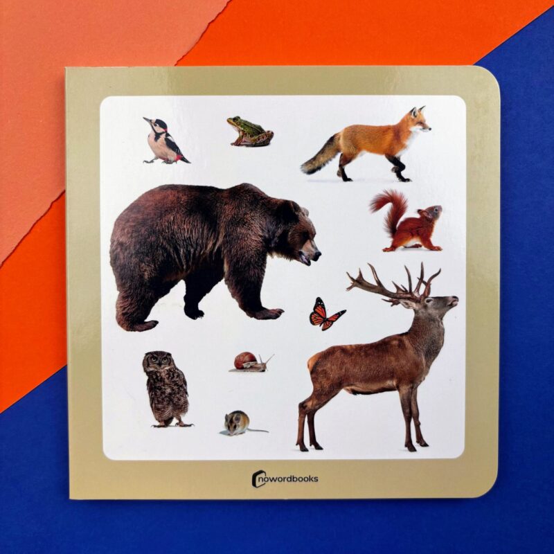 51. Animales del bosque