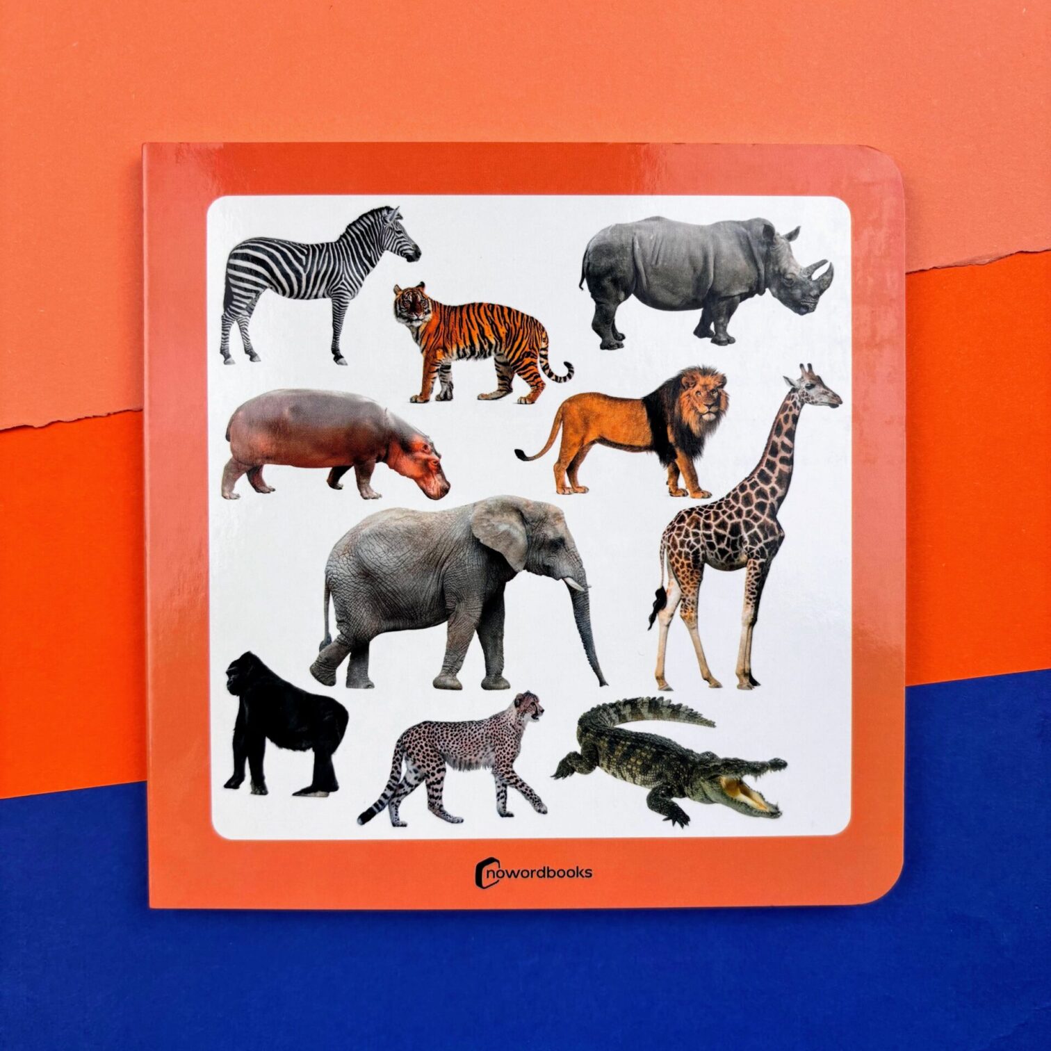 52. Animales salvajes 3