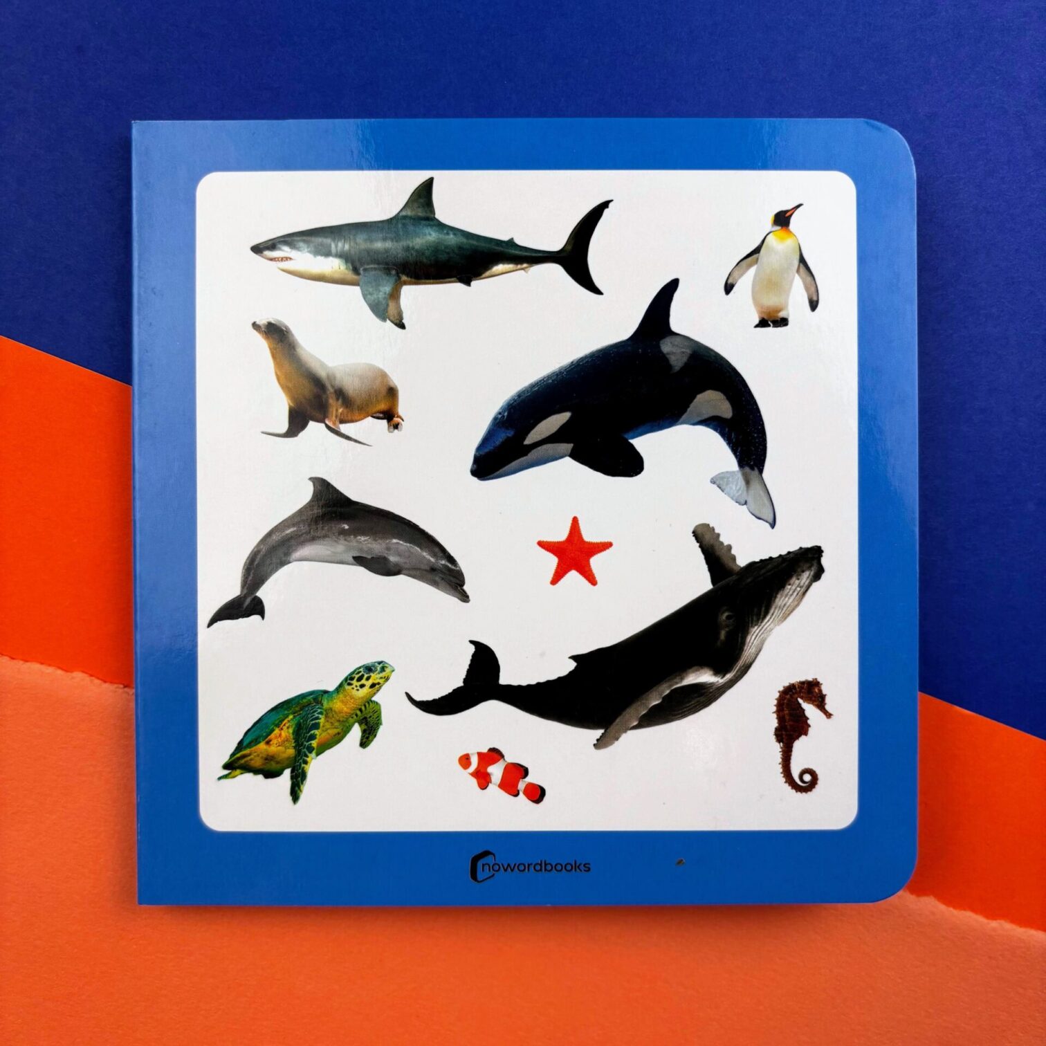 53. Animales marinos 2