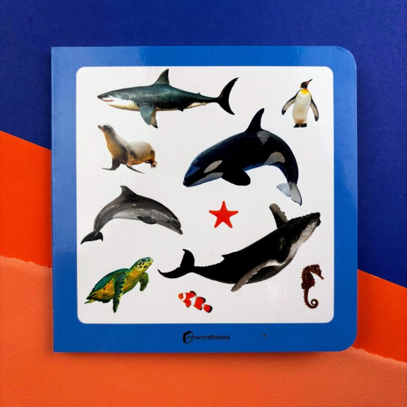 53. Animales marinos 2