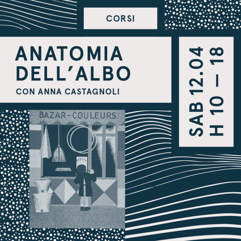 Anatomia dell’albo. All’origine della creazione