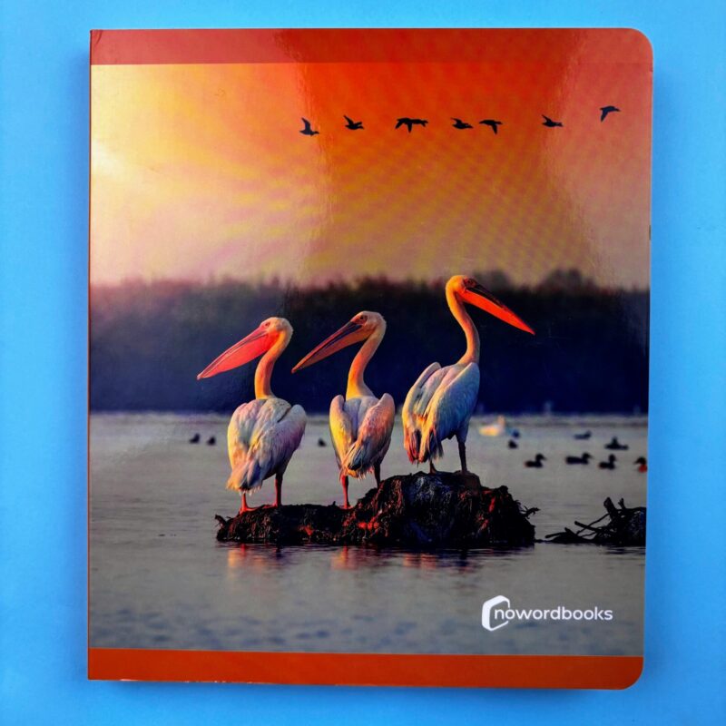 Aves / Birds / Uccelli