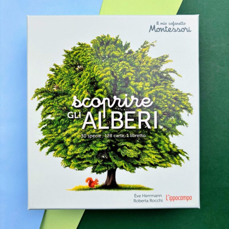 Scoprire gli alberi