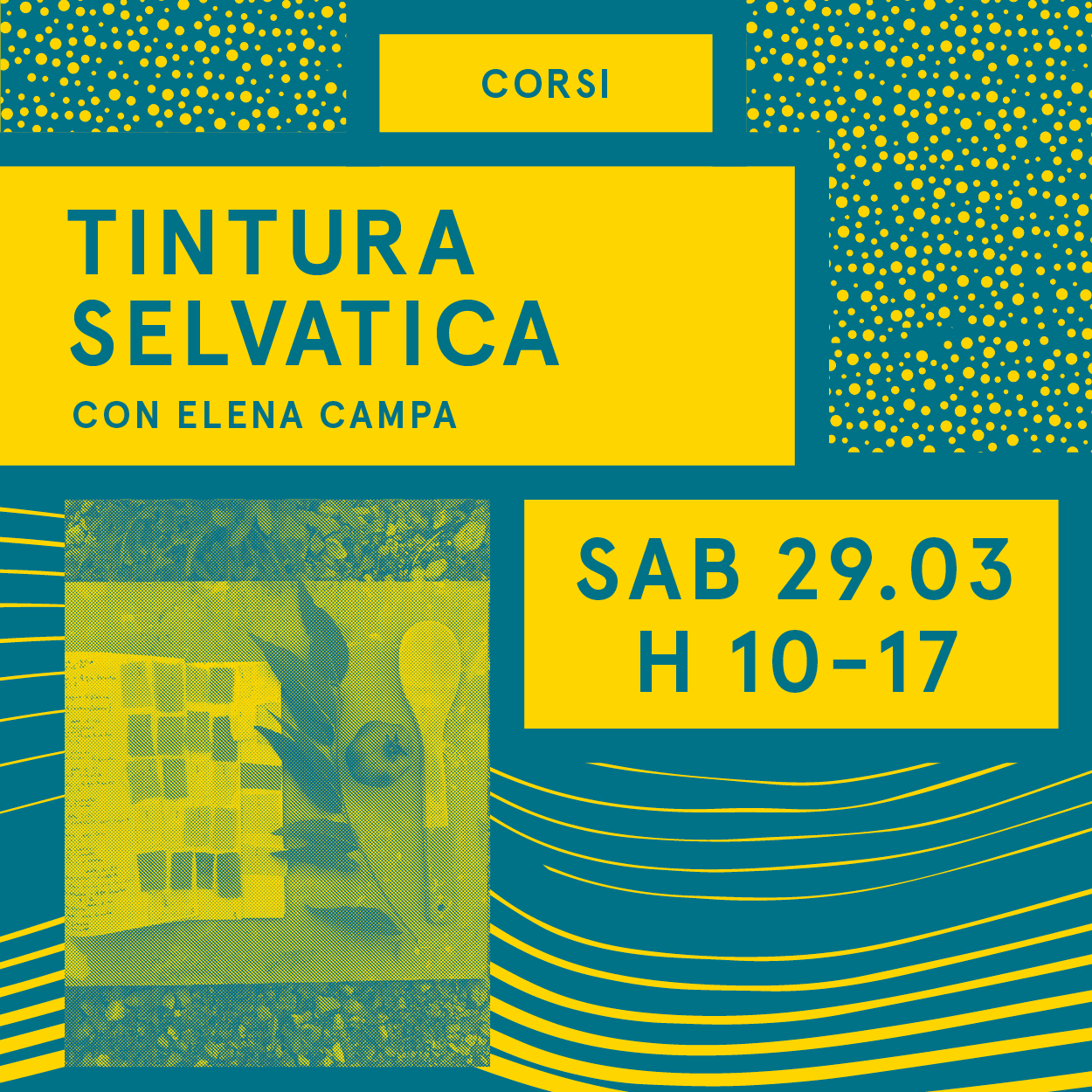 Tintura selvatica