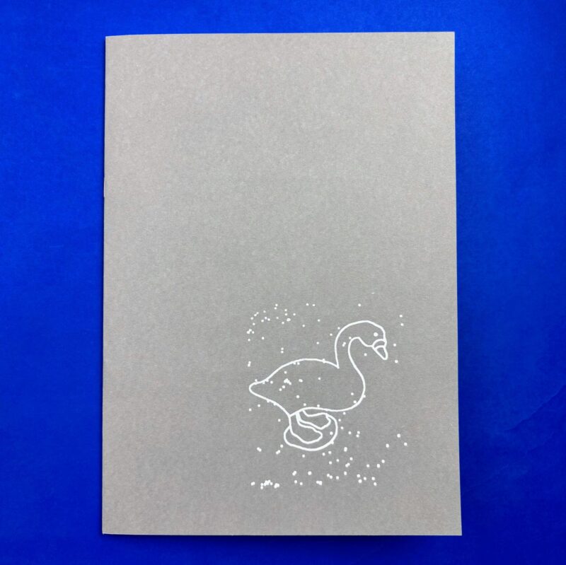 Una recopilación de patos