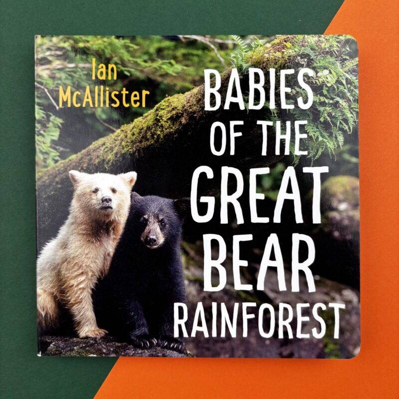 Babies of the great bear rainforest