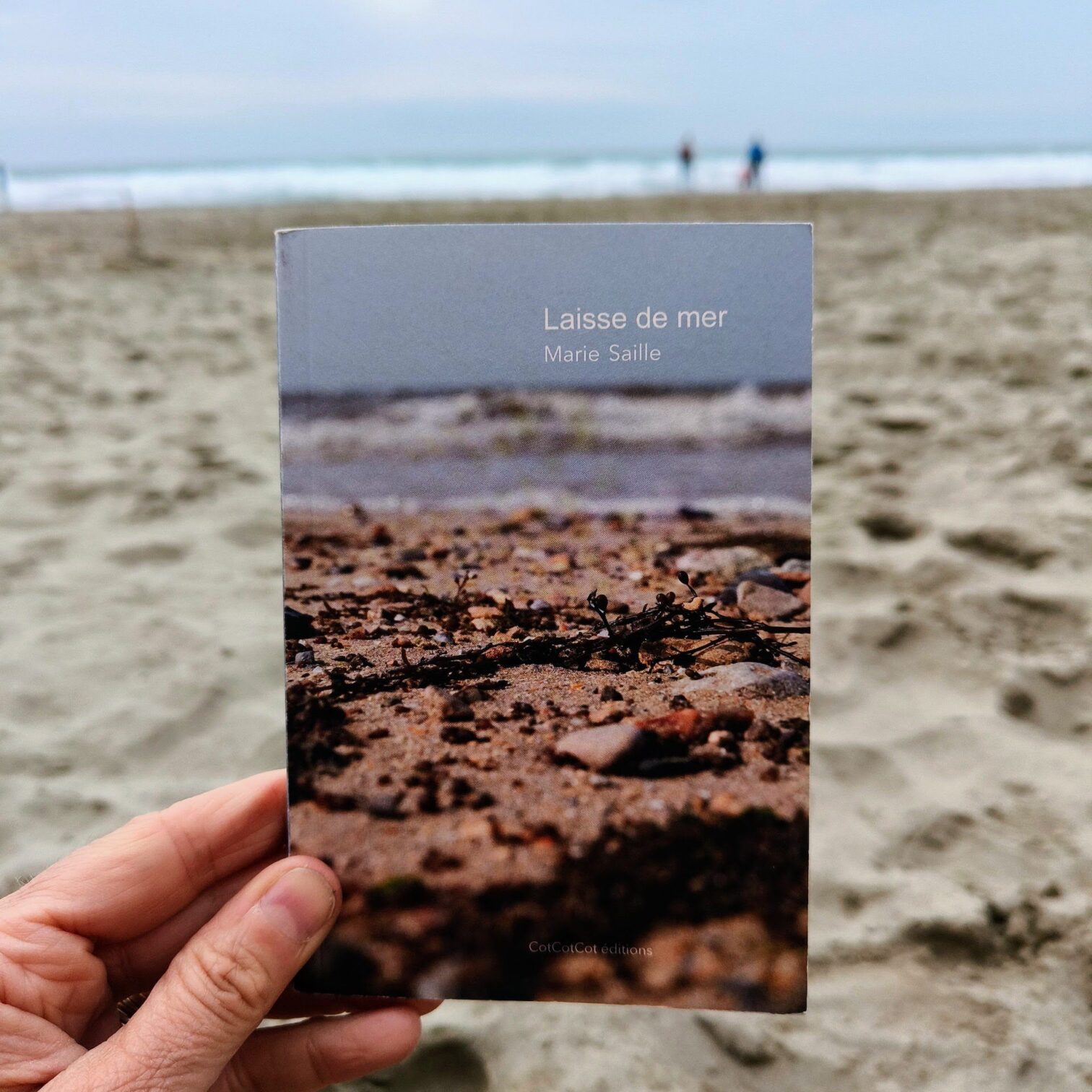 Laisse de mer