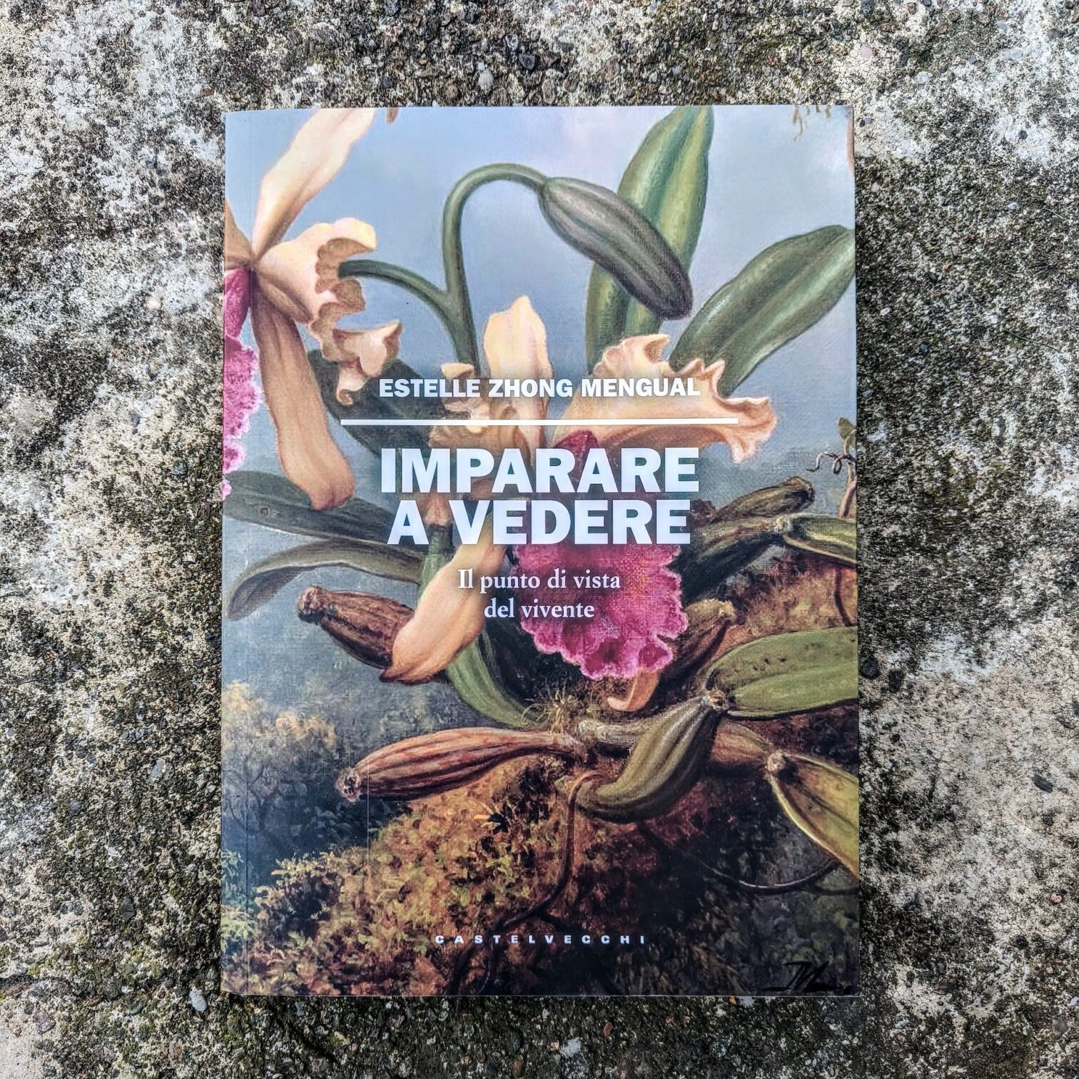 Imparare a vedere