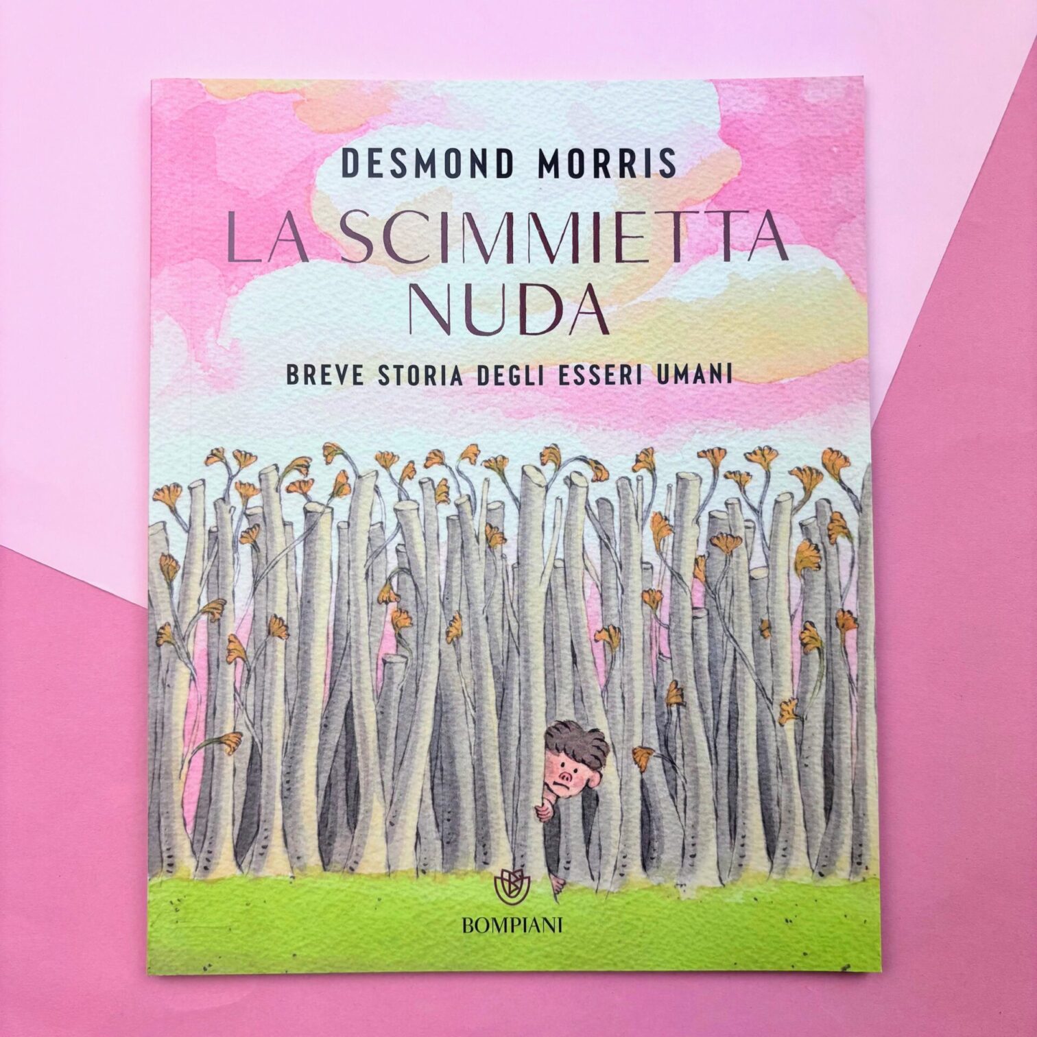 La scimmietta nuda