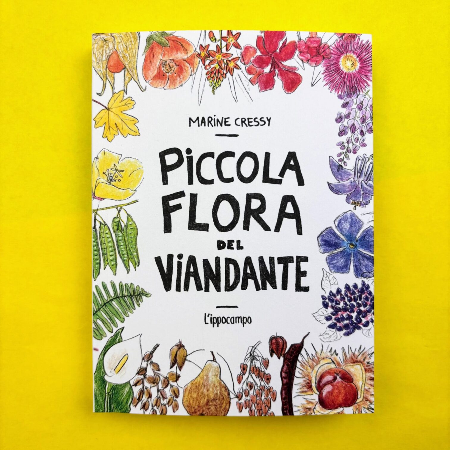 Piccola flora del viandante